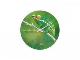 Часы настенные Nicole Time NT503 в Татарске - tatarsk.mebel-nsk.ru | фото
